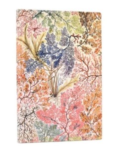 Paperblanks Anemone 2