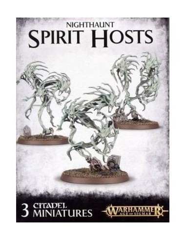 Warhammer Age of Sigmar Nighthaunt Spirit Hosts