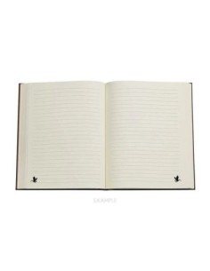 Paperblanks Alas de Sangre Ultra Rayas 2