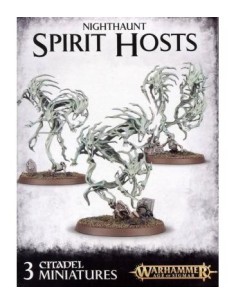 Warhammer Age of Sigmar Nighthaunt Spirit Hosts