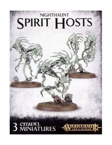 Warhammer Age of Sigmar Nighthaunt Spirit Hosts