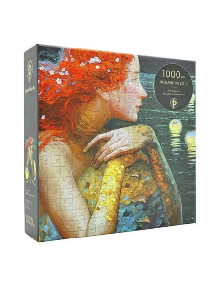 Paperblanks Puzzle Anticipation