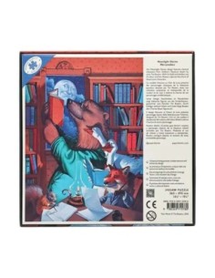 Paperblanks Puzzle Moonlight Stories 2